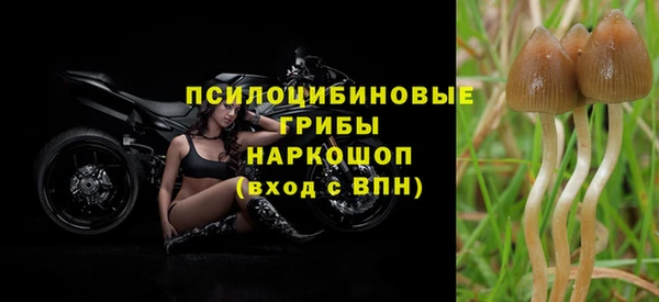 ECSTASY Богородицк