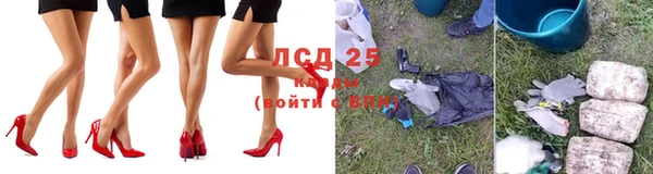 крисы Богданович