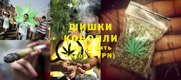 крисы Богданович