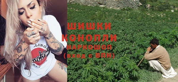 крисы Богданович