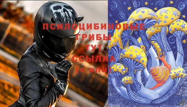 ECSTASY Богородицк