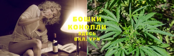 ECSTASY Богородицк