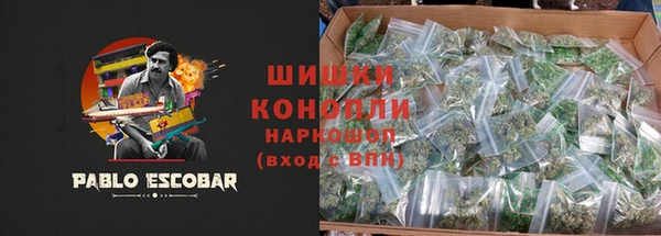 стаф Бронницы