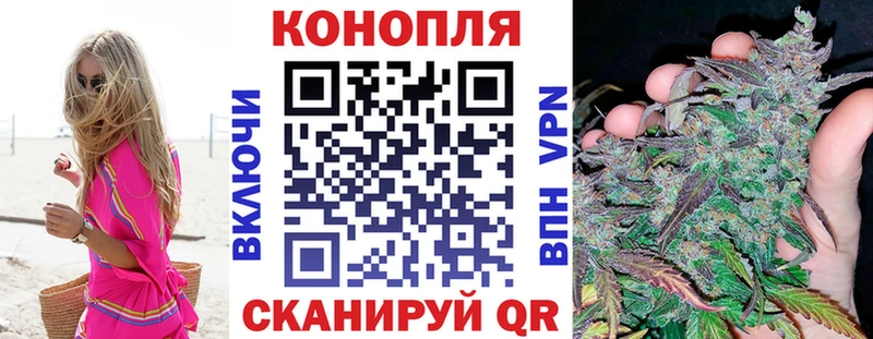 где купить наркотик  Ковдор  Каннабис тримм 